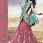 saree collection for wedding by Brides Galleria