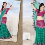 New Saree for Party wear, eid wear, bridal wear and wedding wear