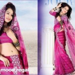 New Saree for Party wear, eid wear, bridal wear and wedding wear