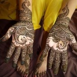 New Party Wedding Mehndi Designs 2012 For Ladies