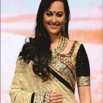 Indian Actress Sonakshi In Lovely Hot Saree Dresses