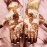 Bridal mehndi designs for hands 2012-13