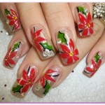 Amazing Christmas Nail Art Designs Collection of Ideas & Pictures 2013