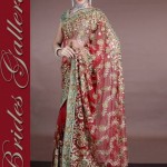 Red Banarsi Bridal Wedding Dulhan Saree Design 2013