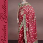 Red Zardosi Bridal Wedding Dulhan Saree Design 2013