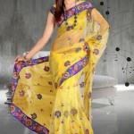 Latest Short Sleeve Saree Collection 2013 For Women (4)