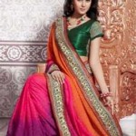 Latest Short Sleeve Saree Collection 2013 For Women (3)