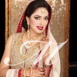 Best bridal mehdi wear dress jewellery makeup