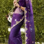 Wedding Sarees Blouse And Lehanga Sarees 2013 By Natasha (4)