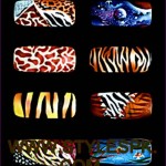 Zebra Stylish and colorful Print Nails Art Design 2013 (28)