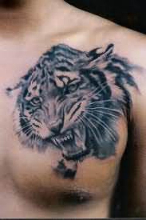 Latest 3D Tiger Tattoos Body Designs 2013-14 for Men 04