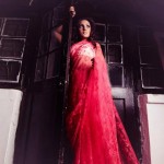 Aarasteh by Faryal Latest Saree Fashion 2013 For Girls 08