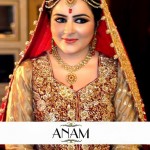 Anam Pakistani Women Make-up Fashion 2013 New Trend For Brides (8)