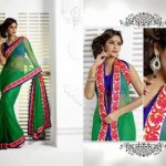 new Spicy Hot sarees Fashion 2014 For Indian Women (3)