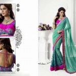 new Spicy Hot sarees Fashion 2014 For Indian Women (5)