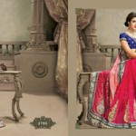 Best Heavy designer Sarees Design for Bridal (2)