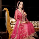 Bridal Wear Collection Lehnga Choli