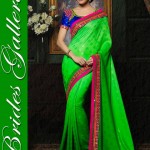 Brides Galleria Elegant Indian Sarees Collection 2015 for Winter (3)