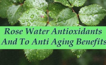 Rose Water Antioxidants And To Anti Aging Benefits