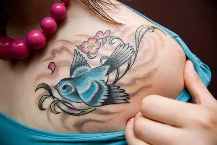 Lovely Swallow Tattoos Art Designs